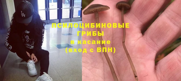 MESCALINE Михайловск