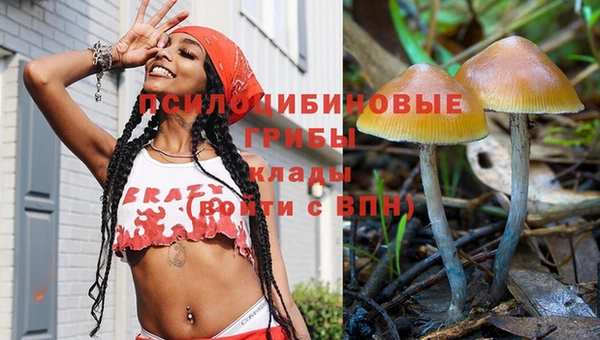 MESCALINE Михайловск
