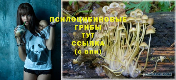 дживик Медвежьегорск