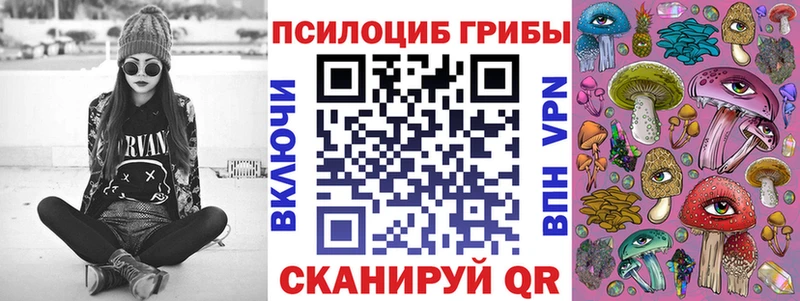 Галлюциногенные грибы Psilocybine cubensis магазин продажи Лукоянов